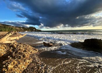 La richiesta di sei associazioni: «Si chieda l’approvazione della Riserva naturale di Casarza»