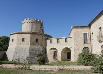 Palmoli, nasce il Pizza Citra Festival: l’evento dedicato alla pizza e alle arti bianche