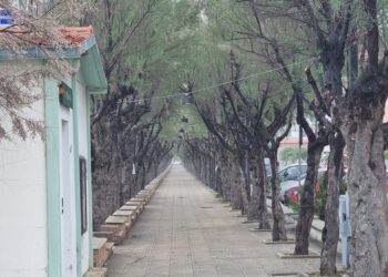 Fossacesia, domenica 8 s’inaugura la nuova illuminazione sul lungomare