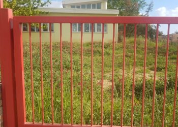 Giangiacomo: «Area verde della scuola di Sant’Antonio abate in completo abbandono»