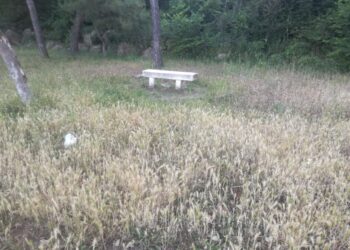 Vasto Marina, riviera nord trascurata: pineta, parcheggio disastrato e cedimenti