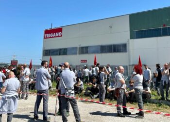 «Vogliamo solo lavorare»: i dipendenti della Trigano scioperano contro il blocco della produzione