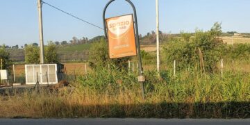 «Nella zona sud della riviera aspettiamo l’autobus in mezzo alla giungla»