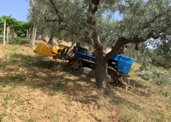 Incidente agricolo a Torino di Sangro, morto un pensionato