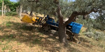 Incidente agricolo a Torino di Sangro, morto un pensionato