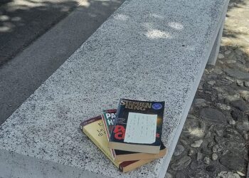 Libri sulle panchine un book crossing “artigianale”
