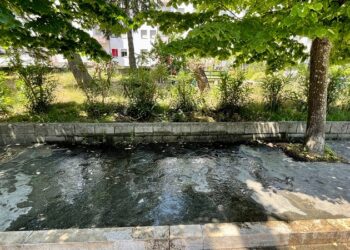 Tutta acqua sprecata: da due mesi la perdita in via Spataro