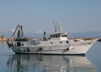 I pescherecci tornano in mare ma i problemi per la marineria restano