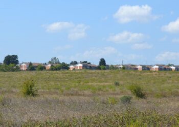 La sanità elettorale: quando la realtà supera la satira