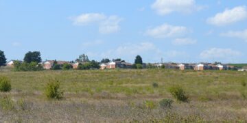 La sanità elettorale: quando la realtà supera la satira