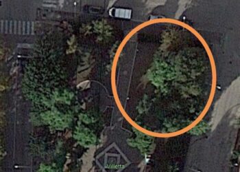 «Nel parco Ciccarone installare giochi inclusivi e per bimbi fino a tre anni»