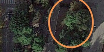 «Nel parco Ciccarone installare giochi inclusivi e per bimbi fino a tre anni»