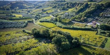 La Cantina Frentana di Rocca San Giovanni tra le 20 migliori cooperative d’Italia