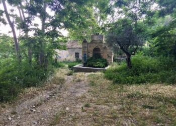 Cultura, storia e folklore: Fonte Nuova protagonista degli eventi estivi di Madrecultura