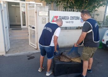 Pesca illegale e occupazione abusiva delle spiagge: a Vasto multe e sequestri della guardia costiera