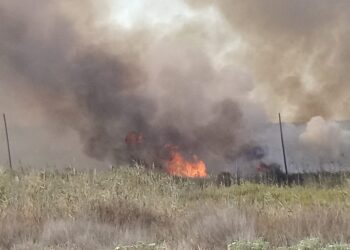 In fiamme la vegetazione costiera: traffico bloccato per due ore sulla Statale 16