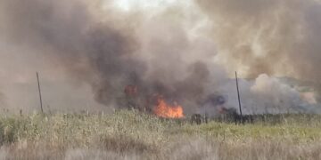 In fiamme la vegetazione costiera: traffico bloccato per due ore sulla Statale 16