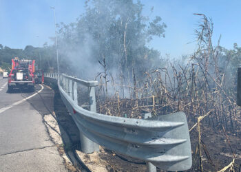 Vasto, incendio in località “San Nicola” domato dai vigili del fuoco