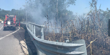 Vasto, incendio in località “San Nicola” domato dai vigili del fuoco