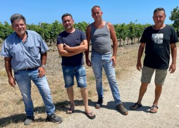 «Tra siccità e animali selvatici annata agricola disastrosa»