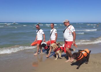 Sicurezza in mare, a San Salvo Marina le esercitazioni di personale di salvataggio e cani bagnino