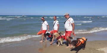 Sicurezza in mare, a San Salvo Marina le esercitazioni di personale di salvataggio e cani bagnino