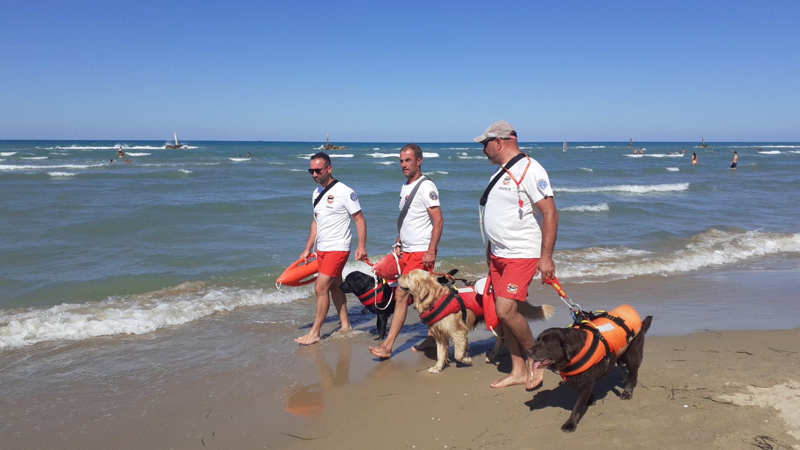 EzyDog DFD - Salvagenti per cani | Hardloop