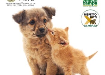 Lotta a randagismo e abbandono dei cuccioli: a Vasto la campagna “Se li ami davvero falli sterilizzare”