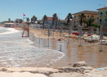 «Lo diciamo da sei anni: ripascimenti inutili. Ora l’amministrazione ci coinvolga»