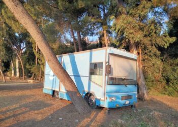 Camion dello street food nella pineta, le associazioni: «C’è il pericolo incendi»