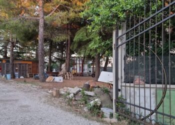 Morte Annamaria D’Eliseo, indagato il marito