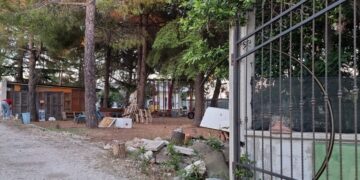 Morte Annamaria D’Eliseo, indagato il marito