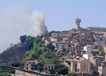 Monteodorisio, fiamme vicino alle abitazioni: esteso incendio domato dai vigili del fuoco