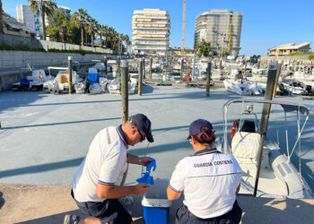 La darsena del porticciolo di San Salvo si tinge di grigio, guardia costiera rileva inquinamento