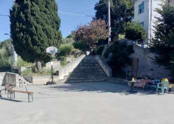 Parcopalestrafree, dove stare insieme e divertirsi è gratis