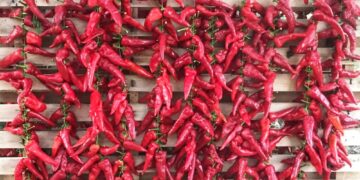 Menù creativi e voglia di ricominciare, torna il Festival del peperone dolce di Altino