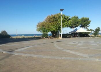 Spostamento dello street food, appello di Menna: «Attività ecosostenibili». D’Ottavio: «Pulire la pineta»