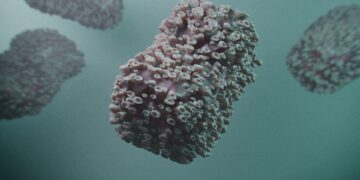 In Abruzzo primo caso di vaiolo delle scimmie: contagiato 40enne di ritorno dalla Spagna