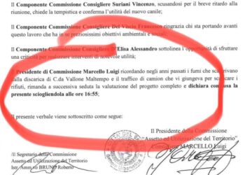 Prospero (FdI): «Sul progetto del nuovo canile l’amministrazione non ha rispettato i patti»