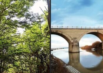 D’Agostino: «Grazie alla collaborazione Casalbordino-Vasto ripulita la Via Verde»