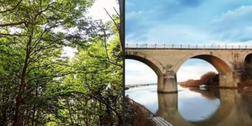 D’Agostino: «Grazie alla collaborazione Casalbordino-Vasto ripulita la Via Verde»