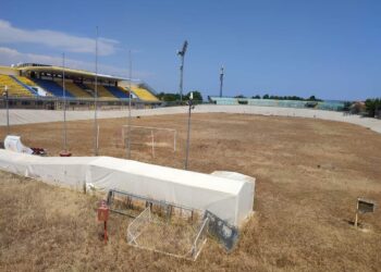 Dal Credito Sportivo le prime risorse per il manto erboso del Biondi