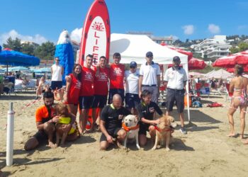 Sulla spiaggia di Vasto Marina l’esercitazione dei cani di salvataggio