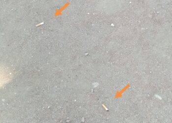 «Basta mozziconi nel parco giochi di via Ciccarone, si mettano cartelli di divieto di fumo»