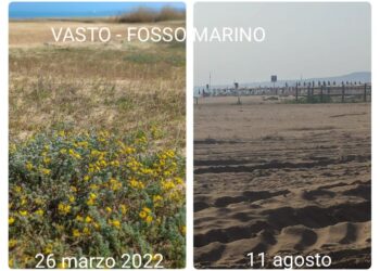 «Jova, qui in lungomare Duca degli Abruzzi solo disagi e incassi dimezzati»