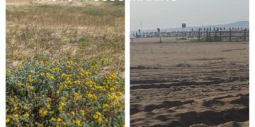 «Jova, qui in lungomare Duca degli Abruzzi solo disagi e incassi dimezzati»