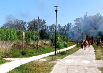Incendio vicino alla pista ciclabile, vigili del fuoco spengono il rogo