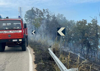 Incendio a Fossacesia domato da vigili del fuoco e protezione civile