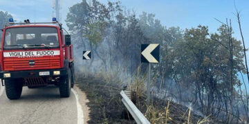Incendio a Fossacesia domato da vigili del fuoco e protezione civile