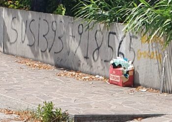 «La strada della stazione e la SS16 disseminate di rifiuti: bottiglie dappertutto»